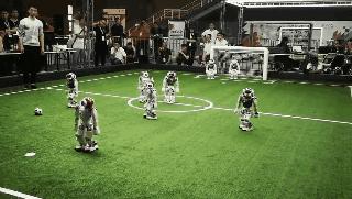 今天去这里的天津人都被逗乐了！没去的快看！