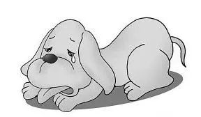 为什么要给狗狗绝育呢,狗狗不绝育有害处吗