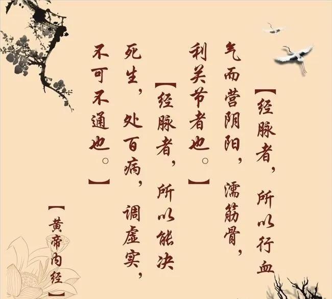 祛斑骗局揭秘,女子祛斑15分钟花了3万