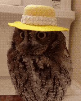 夏天到了有哪些防晒值得入手,高倍防晒夏天必备的防晒好物推荐