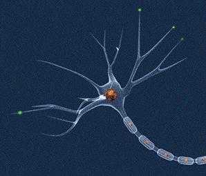 笑能笑出法令纹吗,笑起来的时候有法令纹