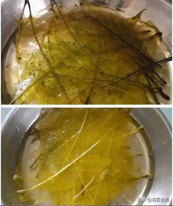 超惊艳的树叶手工,有趣的树叶手工制作