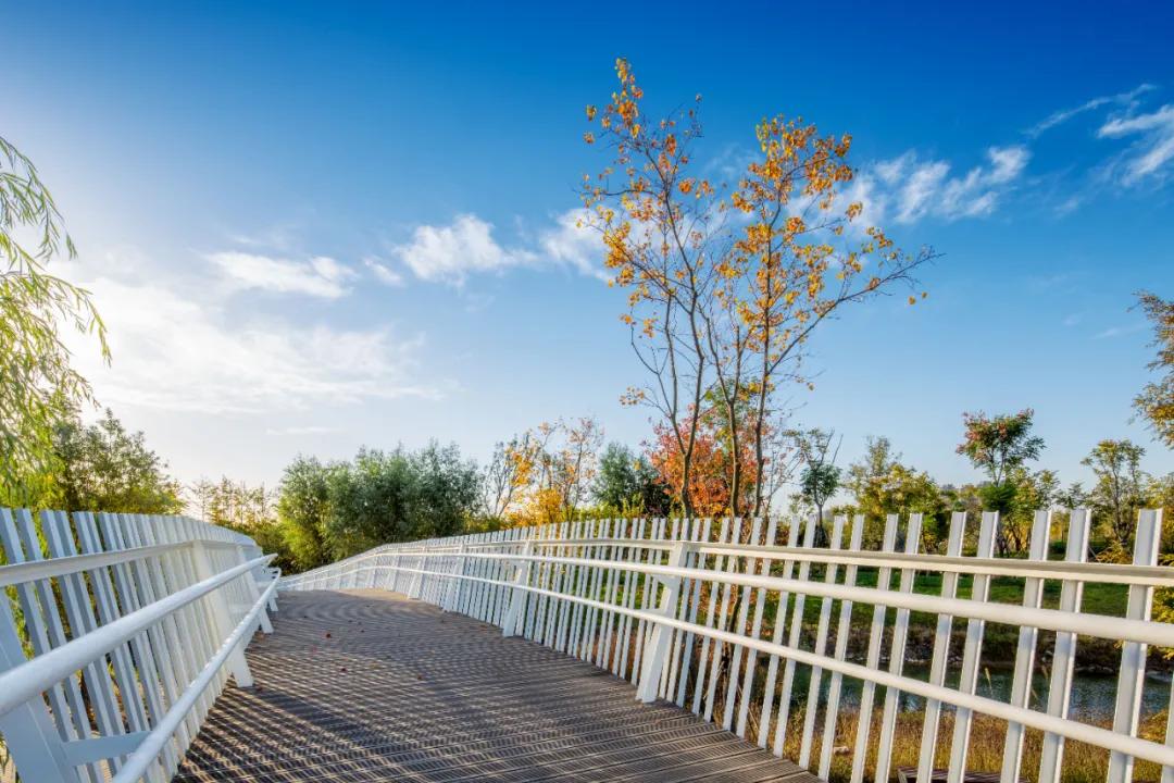 郑州航空港区CBD在什么位置,航空港区下半年新楼盘