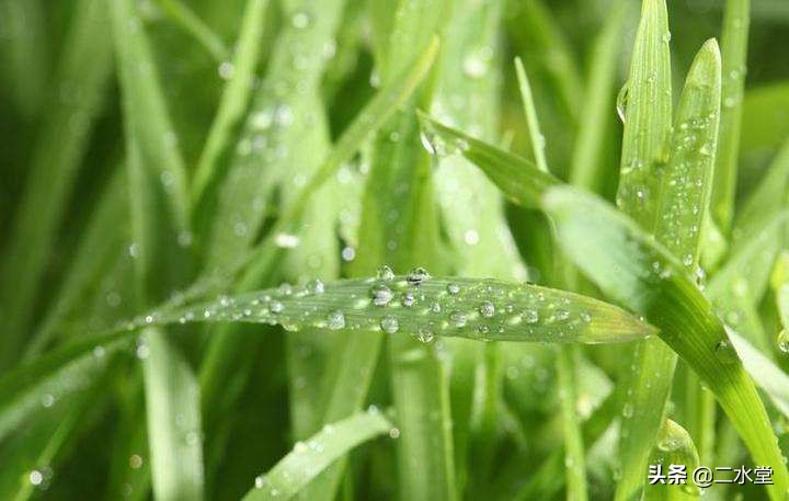 润物细无声的下雨视频,润物细无声全诗
