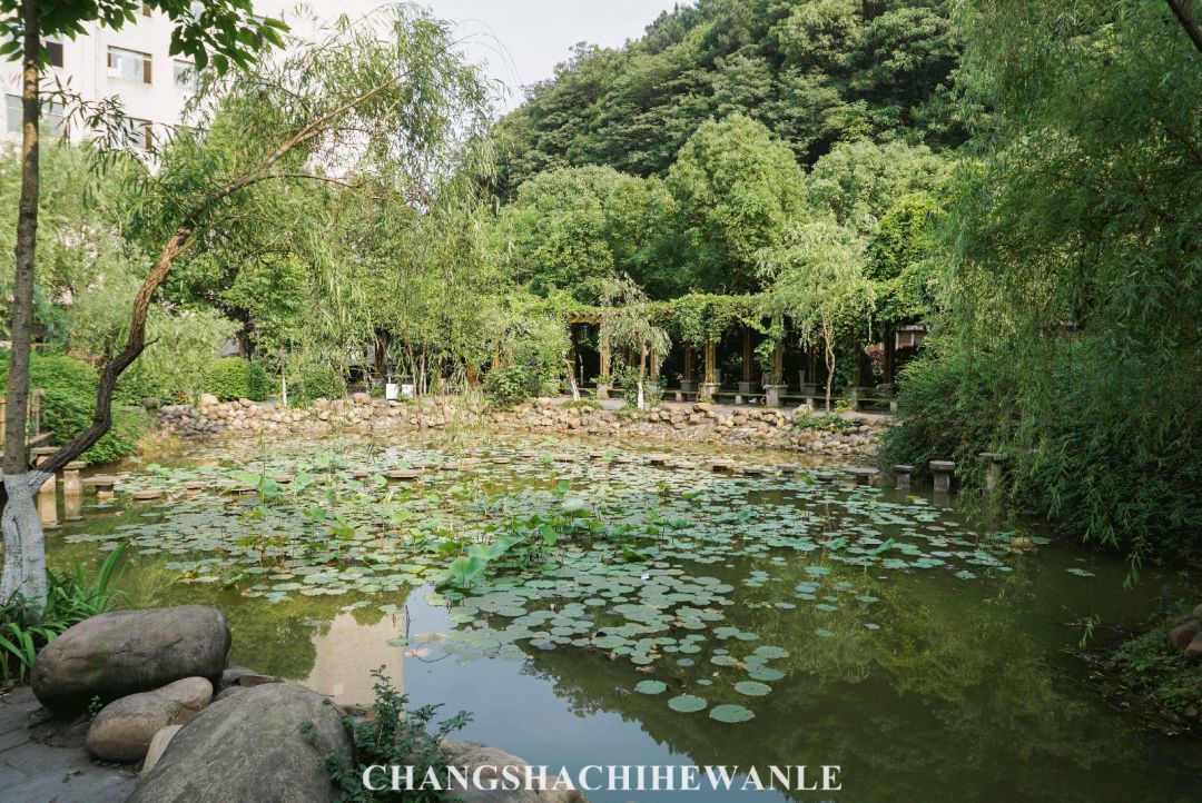 湖南商学院,湖南商学院清吧