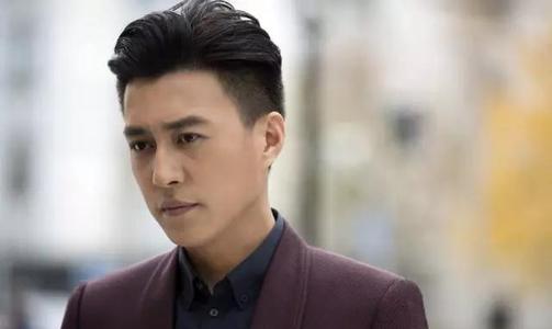 靳东知识分子人设,靳东为什么当老干部