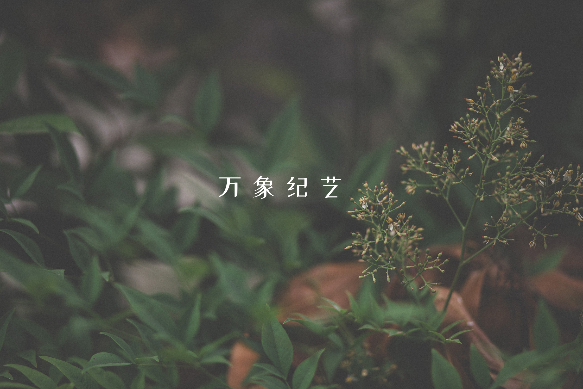 手绘屏保图片手机壁纸,手机壁纸屏保图片可保存至相册