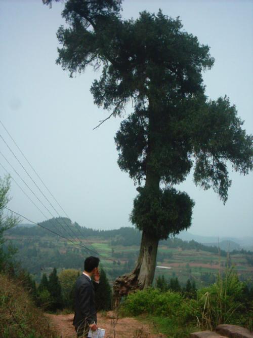 ［原创]实话乐至凤凰山╱刘兴福