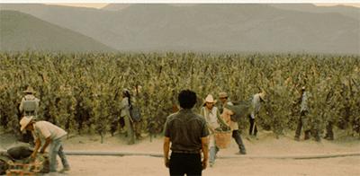 毒枭墨西哥1-3季,毒枭墨西哥电视剧全集