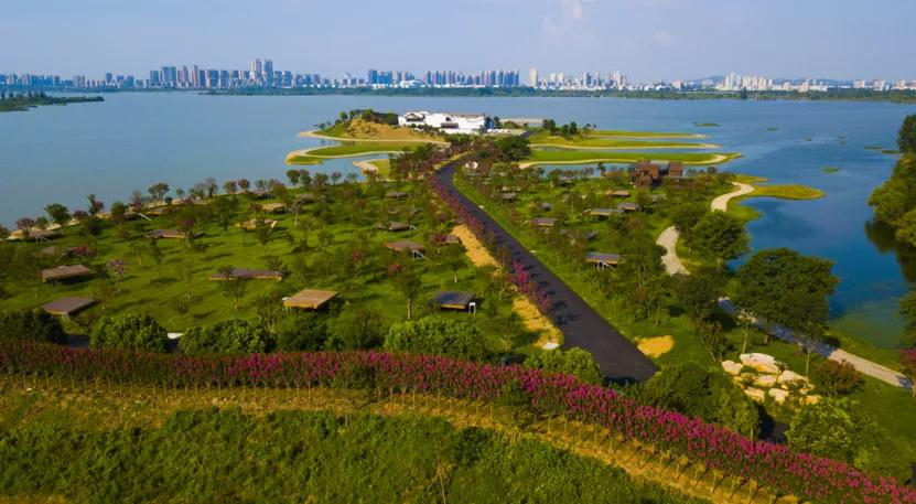 引爆旅游市场！奥体旁将打造蚌埠不夜城！新添古树苑文旅中心