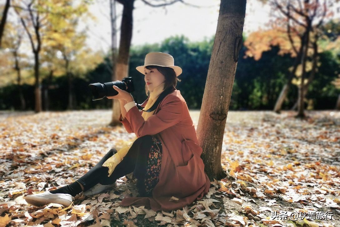 常熟网红枫林秋意盎然，游客络绎不绝，百年老店五道菜肴165元