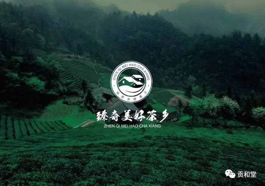 贡享和谐和济共生—贡和堂品牌文化及平台介绍