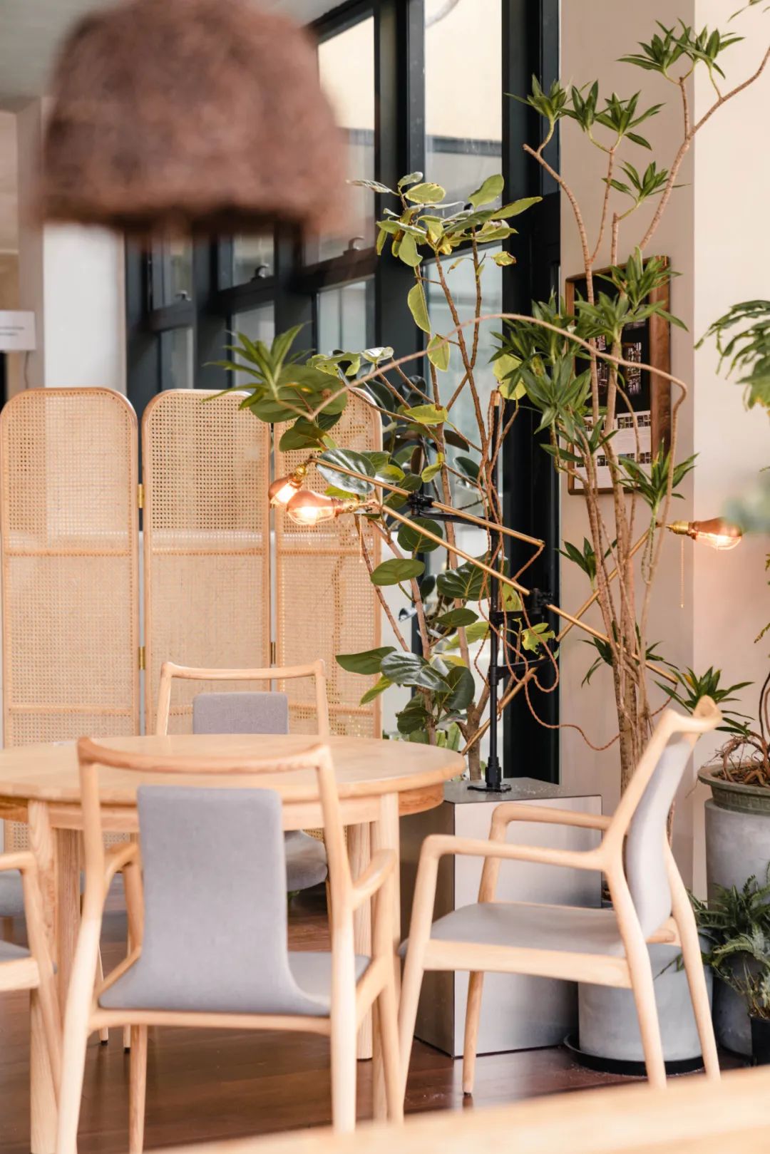 京城首家！探秘最热门“一尺花园”咖啡馆，西山脚*体下**会海派腔调