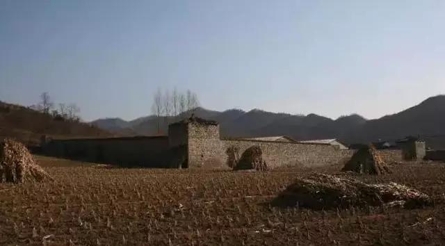 200亩荒山可以投资什么,农村荒山创业项目大全