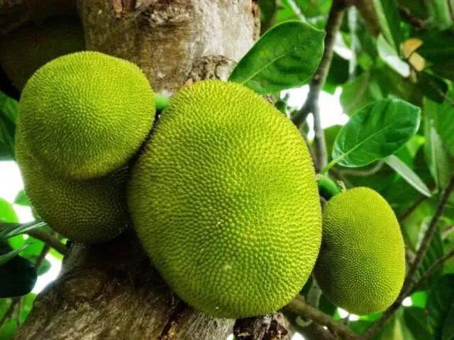 成都北海涠洲岛自由行,成都到涠洲岛攻略