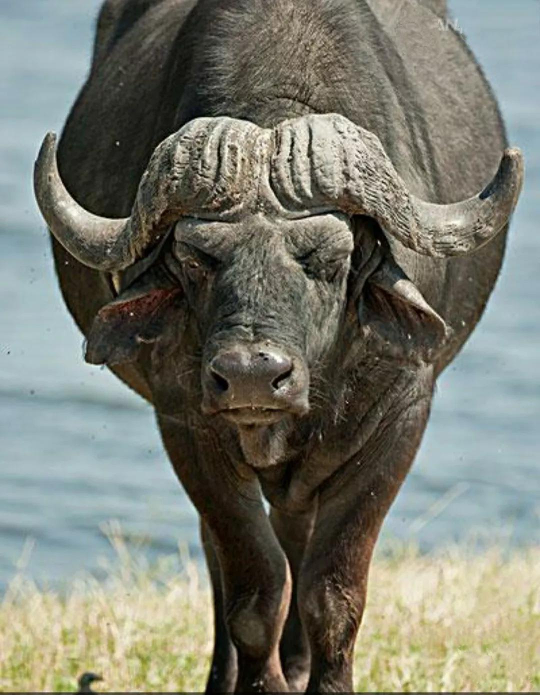 鏄ュぉ閲岀殑鑷存暚鍚堟媿,涓氫綑瓒崇悆淇变箰閮ㄥ崄鍛ㄥ勾鎬荤粨
