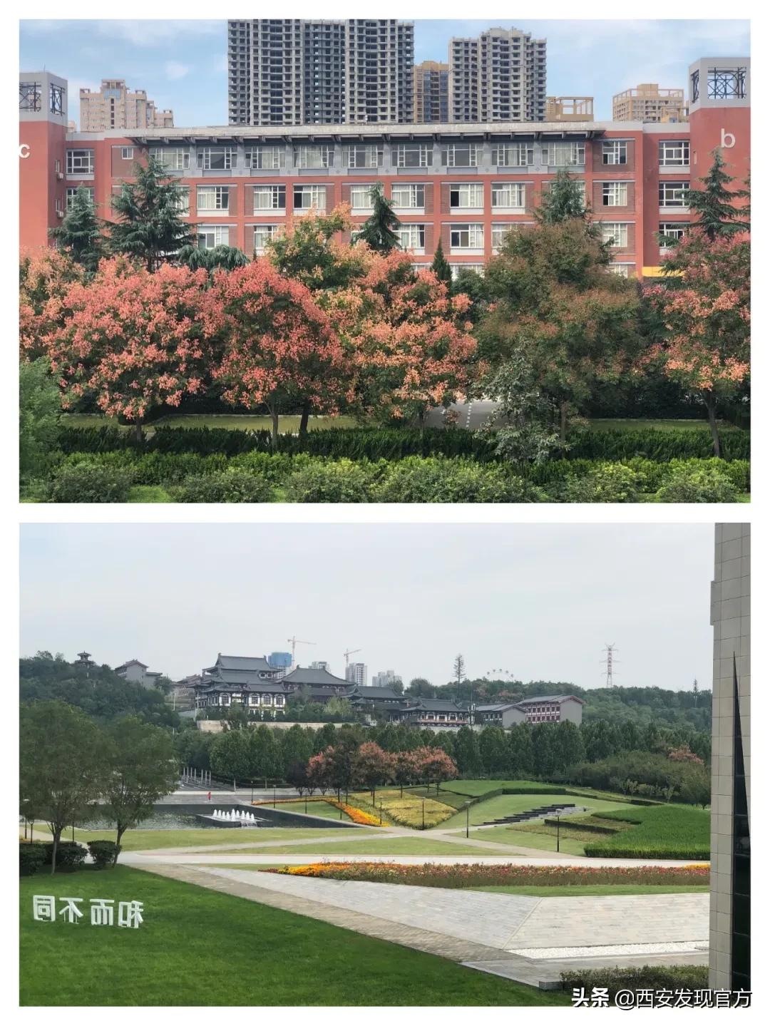 西安欧亚学院贵族学校,传说中的贵族学校西安欧亚学院
