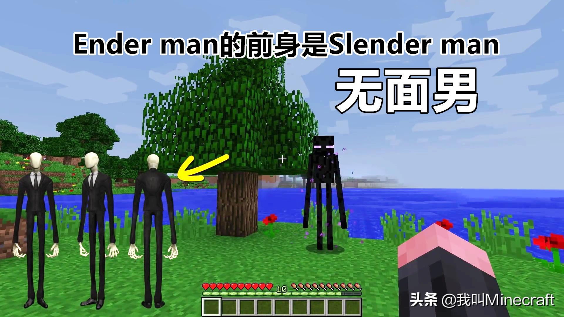 我的世界末影人击杀小黑,我的世界末影人小黑图片