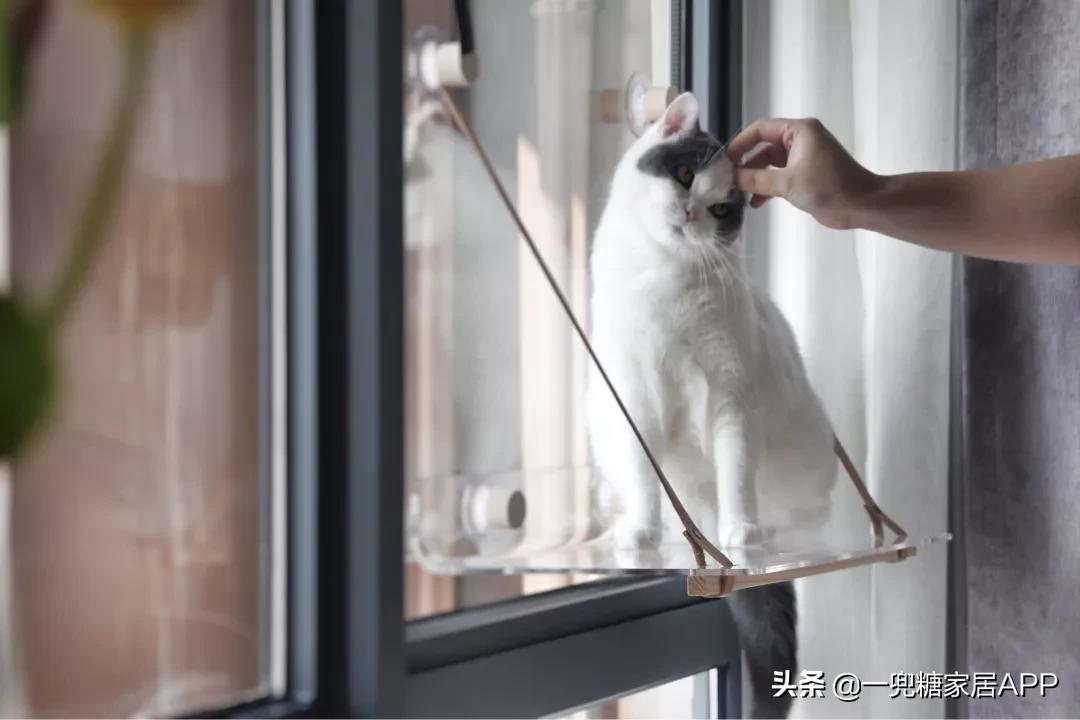 瀹跺眳鏀剁撼鏁寸悊濂界墿鎺ㄨ崘,瀹惰瀹炵敤濂界墿鍒嗕韩瀹跺眳鏀剁撼