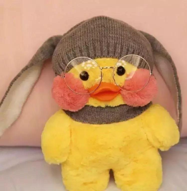 36张网红玻尿酸鸭头像图：遇见就好了，余生就算了