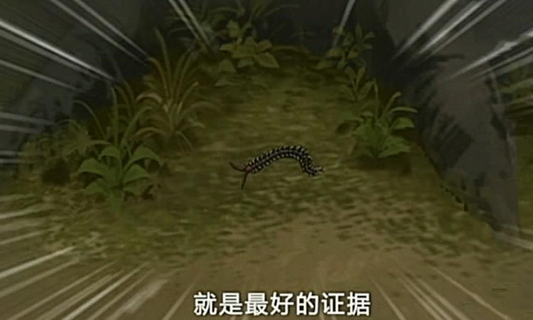 名侦探柯南神秘列车杀人事件,名侦探柯南盔甲杀人事件是第几集