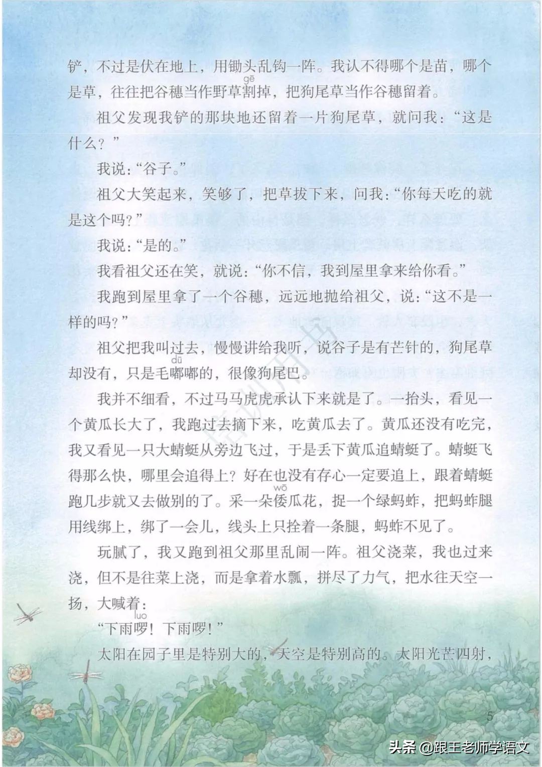 五下语文书祖父的园子预习笔记,五年级下册祖父的园子的好词好句