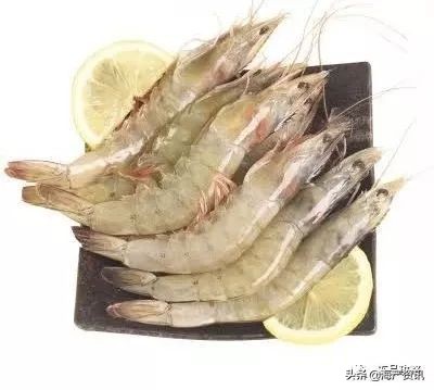 南美白对虾最全知识科普,南美对虾科普知识大全