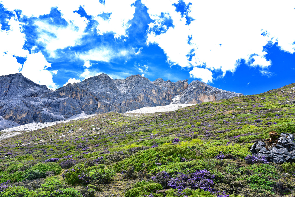 去一次西藏歌曲,圣洁甘孜之旅