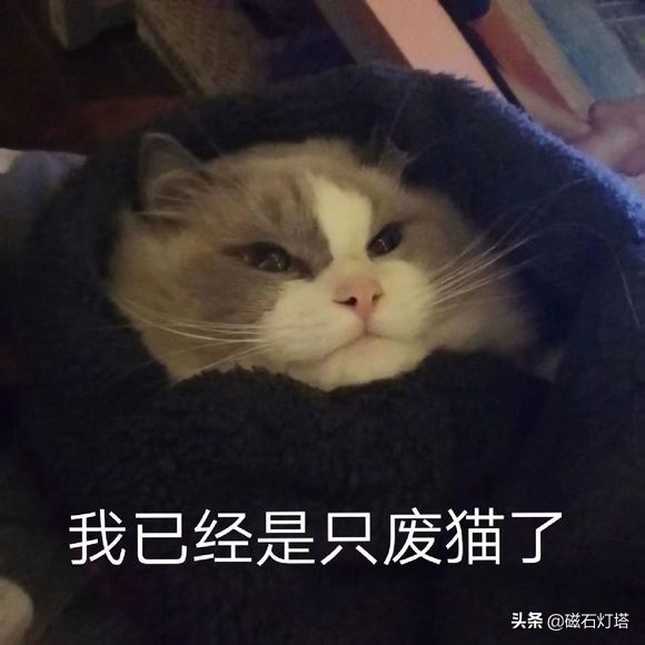 剑侠情缘3剑网三,剑侠情缘剑网3