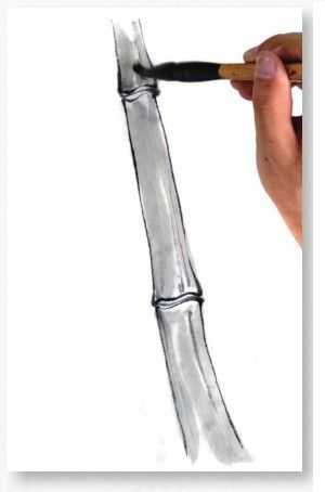 国画基础教程竹子的画法,竹子国画画法教程