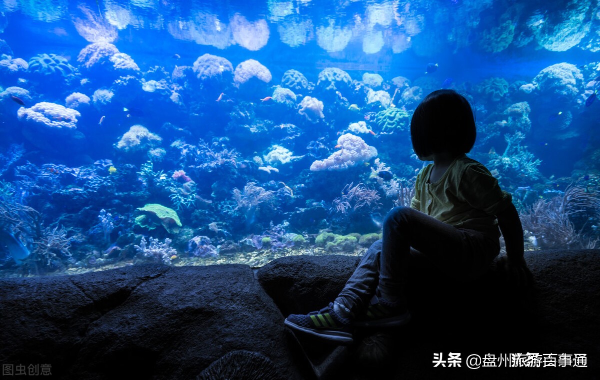 全岛旅游攻略大全,小三门岛旅游攻略大全