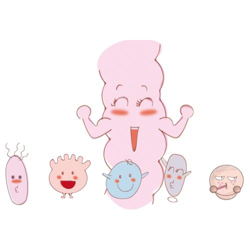 嗜酸乳杆菌，你认识它吗？