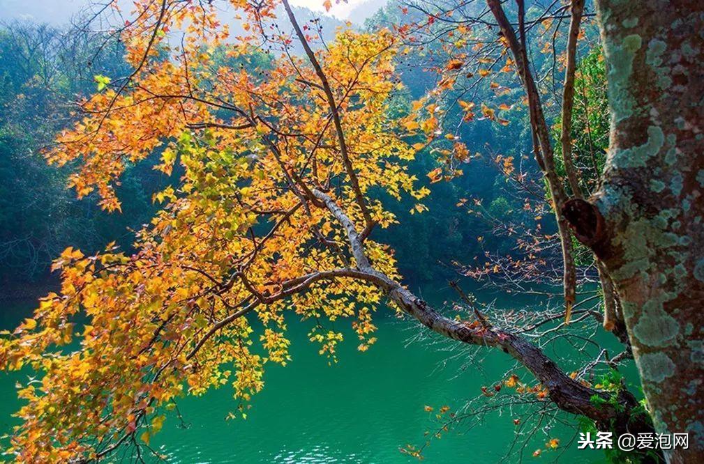 广东粤北最美公路,粤北最美的国道是哪条线