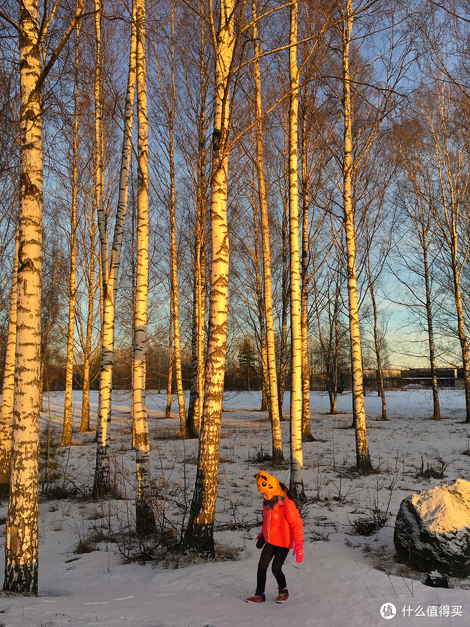 欧游杂记，追寻圣诞老人和极光