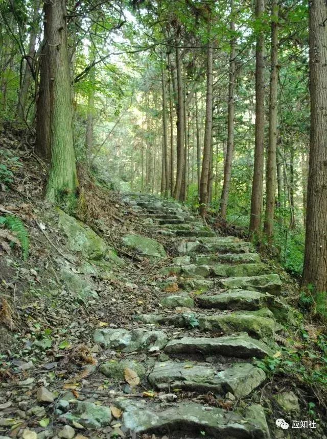 宁波踏青好去处自驾,宁波周边免费踏青爬山