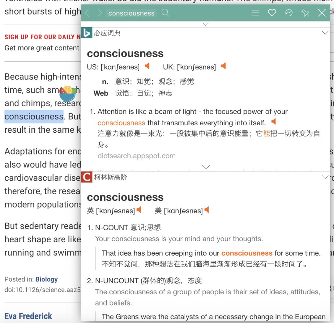 chrome浏览器插件大全图解,chrome浏览器5个必备的高效插件