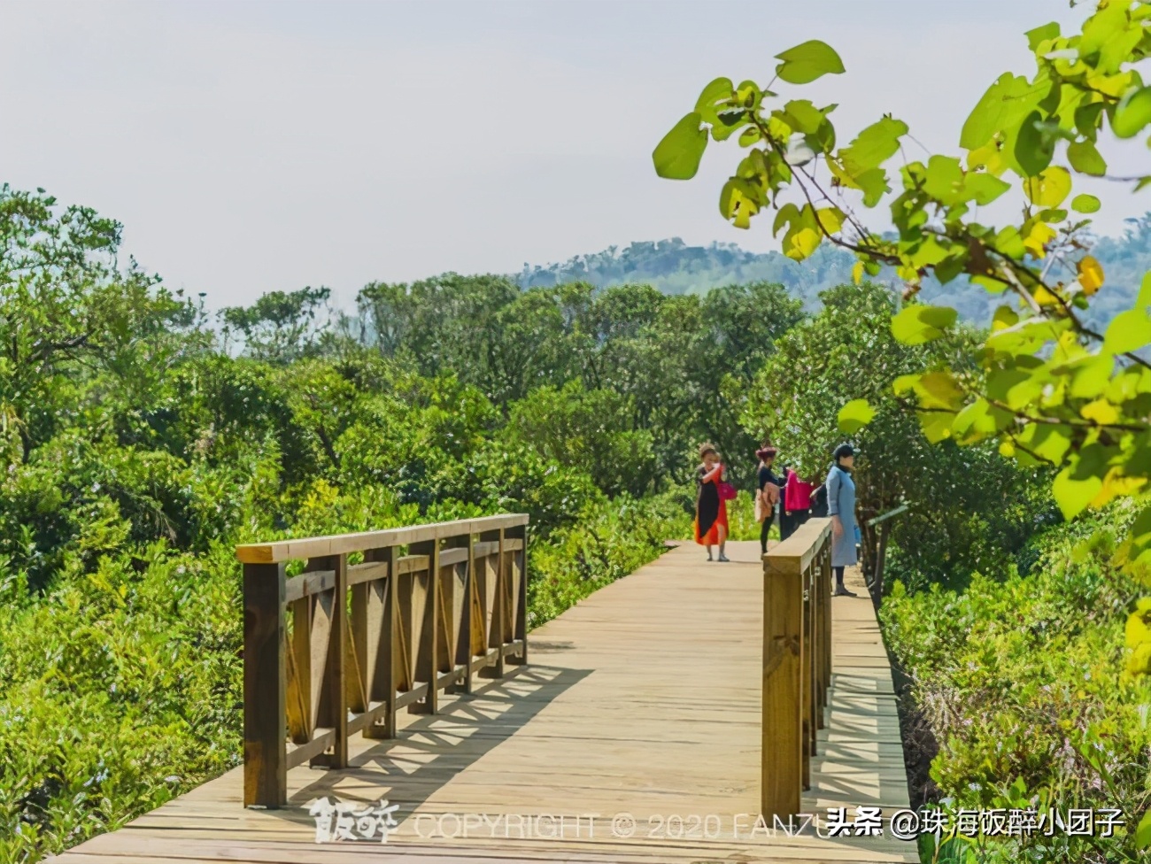 珠海最好的旅游攻略最新,珠海十大绝美夜景