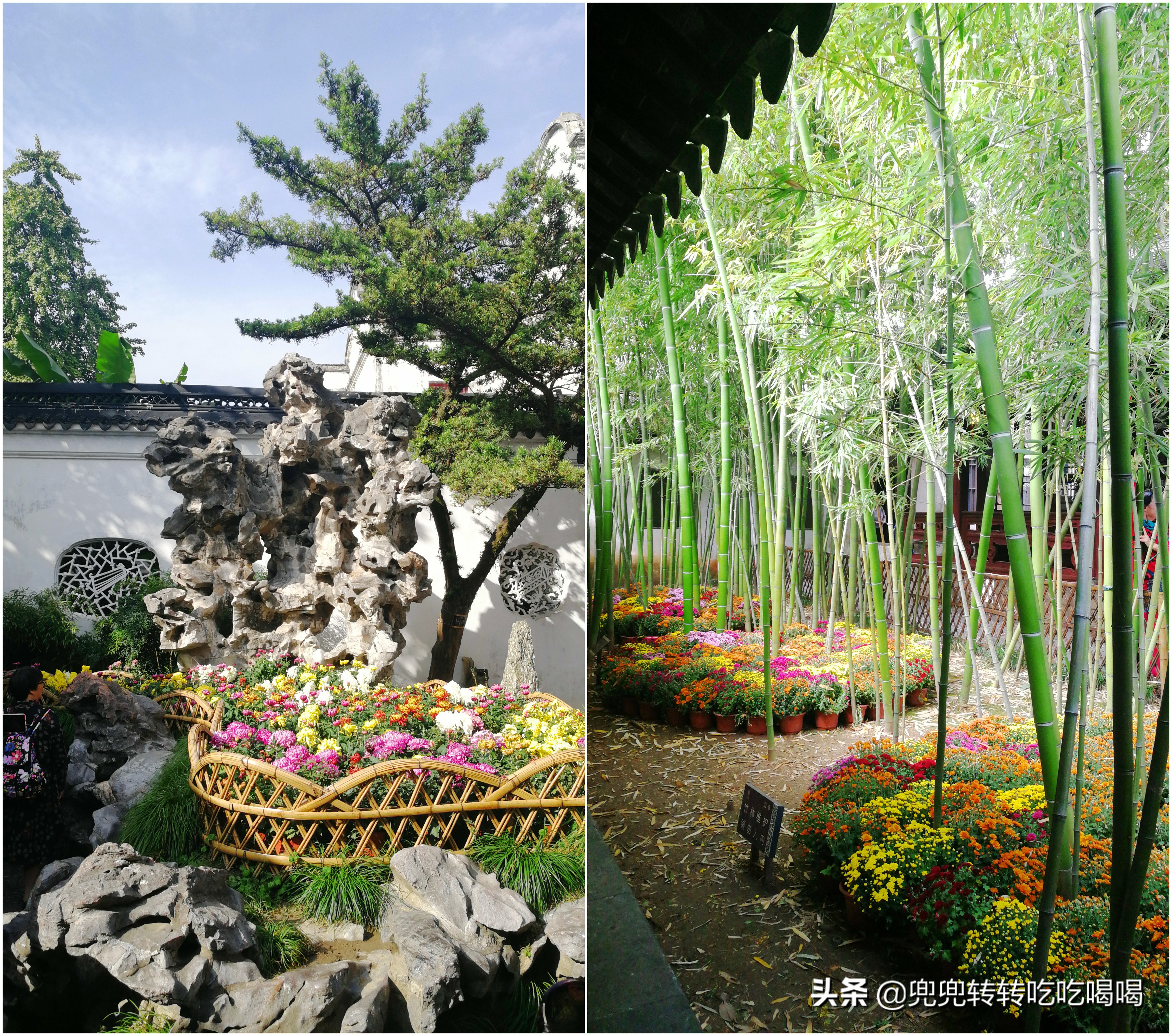 上海到苏州二日游详细攻略,上海往返苏州一日游