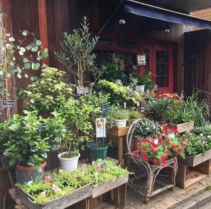 日本青山花店,日本花店推荐