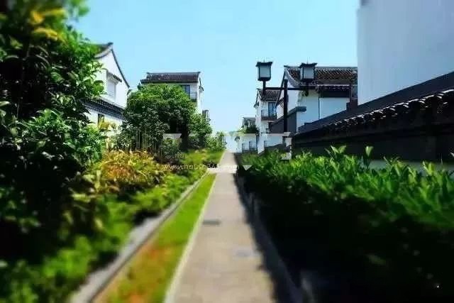 南师附小签约中医药科创城,南师大附中江宁分校学区房规划