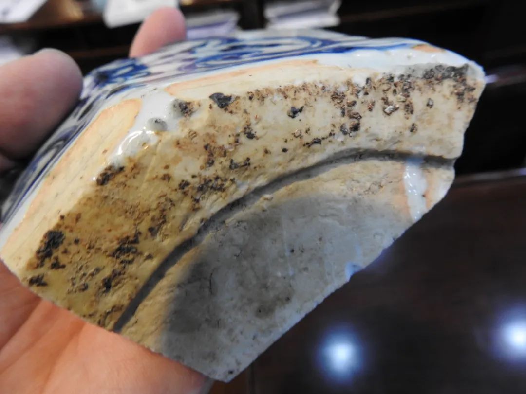 鍏冮潚鑺卞寽鐪熷搧鐗瑰緛,姘戠獞鍏冮潚鑺辩鐗瑰緛