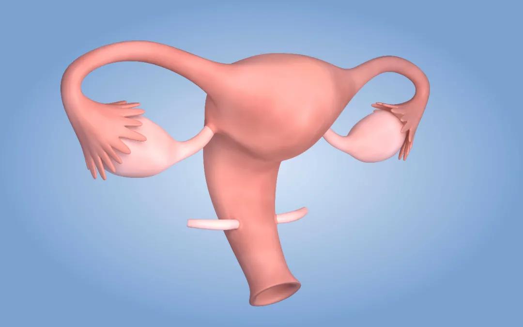 人流以后如何正确的保养子宫,人流手术后该怎样保养子宫