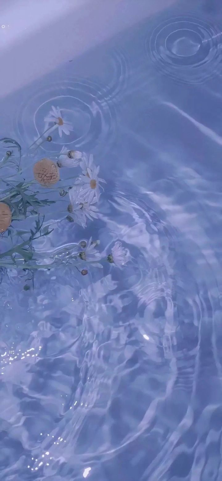 壁纸大全高清手机壁纸,手机壁纸精选高清壁纸