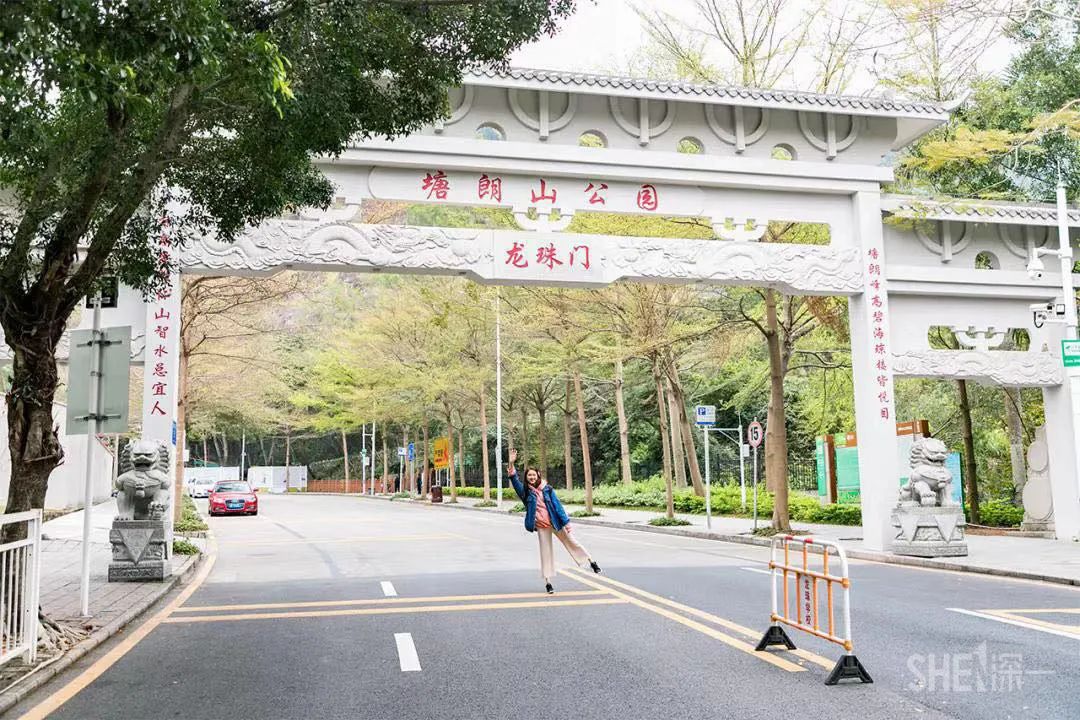 深圳30个经典片区,深圳这座城市承载了太多回忆