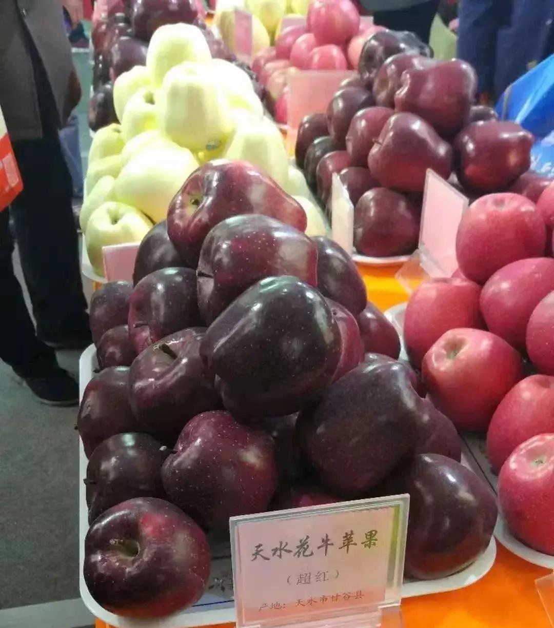 最常见的苹果5个品种,各种类型苹果