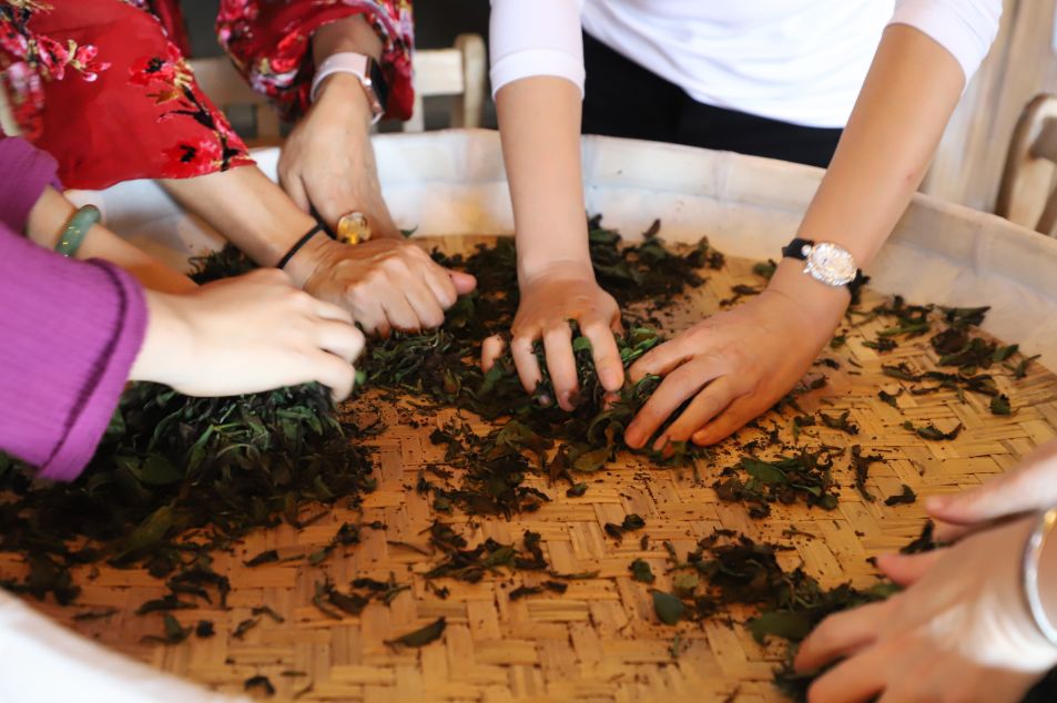 真正的台湾茶,最火的台湾茶