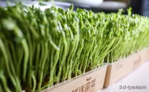 深夜重磅消息,深夜突发事件新闻