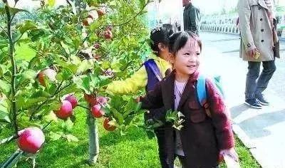 最赚钱的农业项目有哪些,有哪些农业致富好项目值得推荐