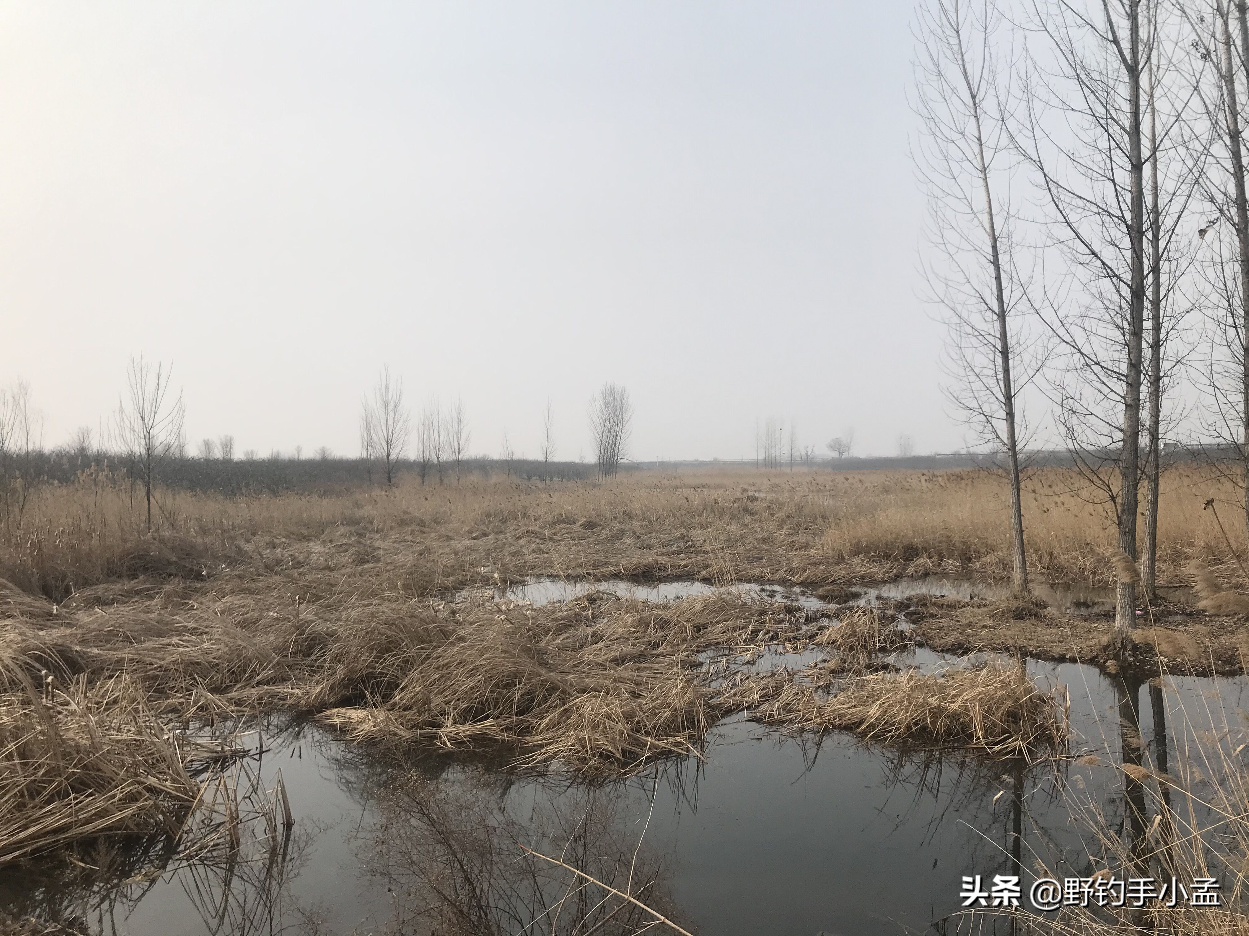 抛竿怎样精准抛投,新手抛竿你得学这三种诀窍