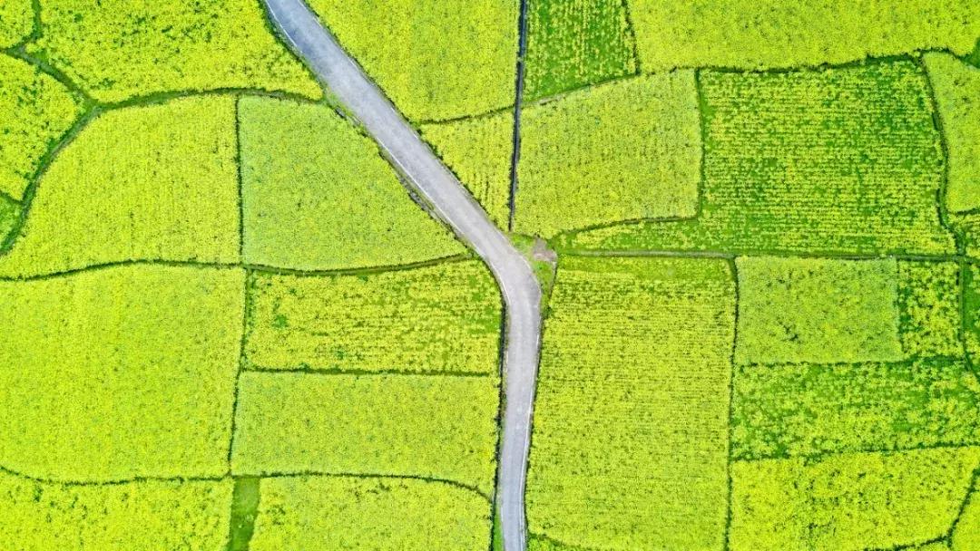 全国最宝藏的省,中国宝藏最多的省份